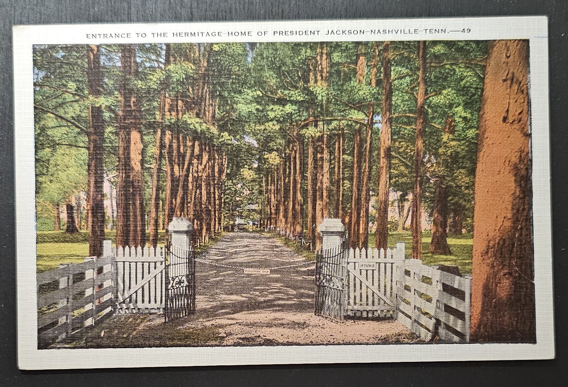 (image for) postcard USA - TN - Tennessee #0016